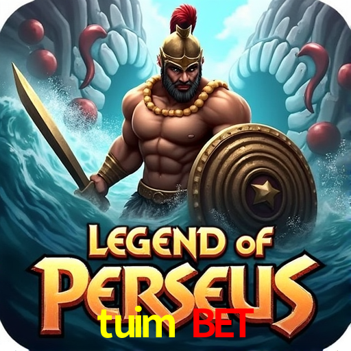 Experiência VIP tuim bet