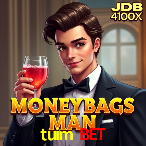 Sistemas de Segurança tuim bet